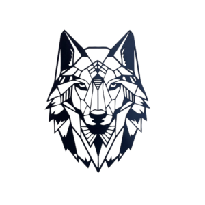 Lobo Frontal