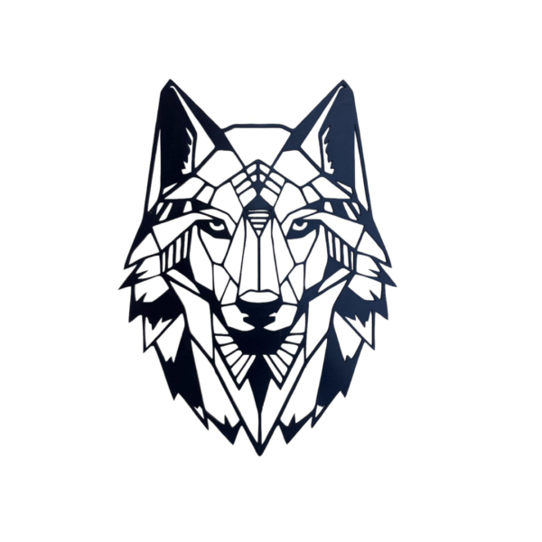 Lobo Frontal
