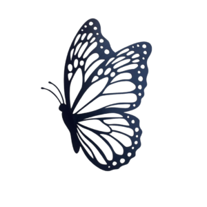 Mariposa