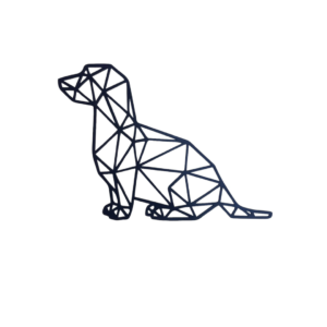 Perro Salchicha