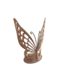 Mariposa Abierta