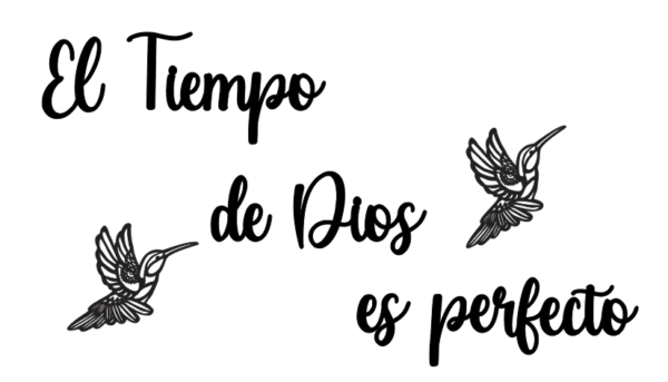 El Tiempo de Dios es Perfecto