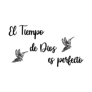 El Tiempo de Dios es Perfecto
